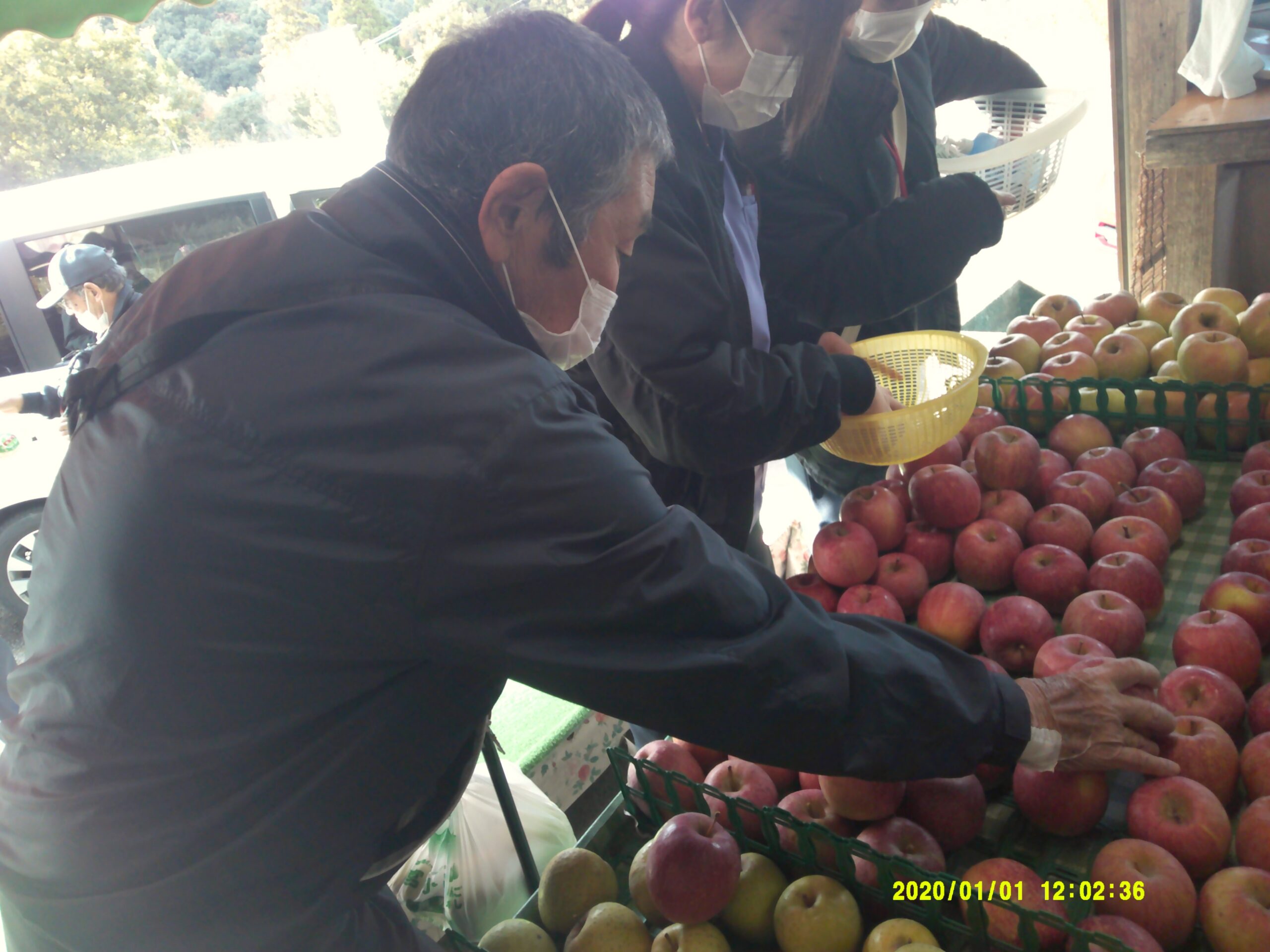 今年もりんご狩りへ行ってきました